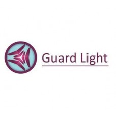 Iron Logic Лицензия Guard Light - 1/2000L